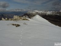 2026-03-14 Puzzillo e Morretano 110